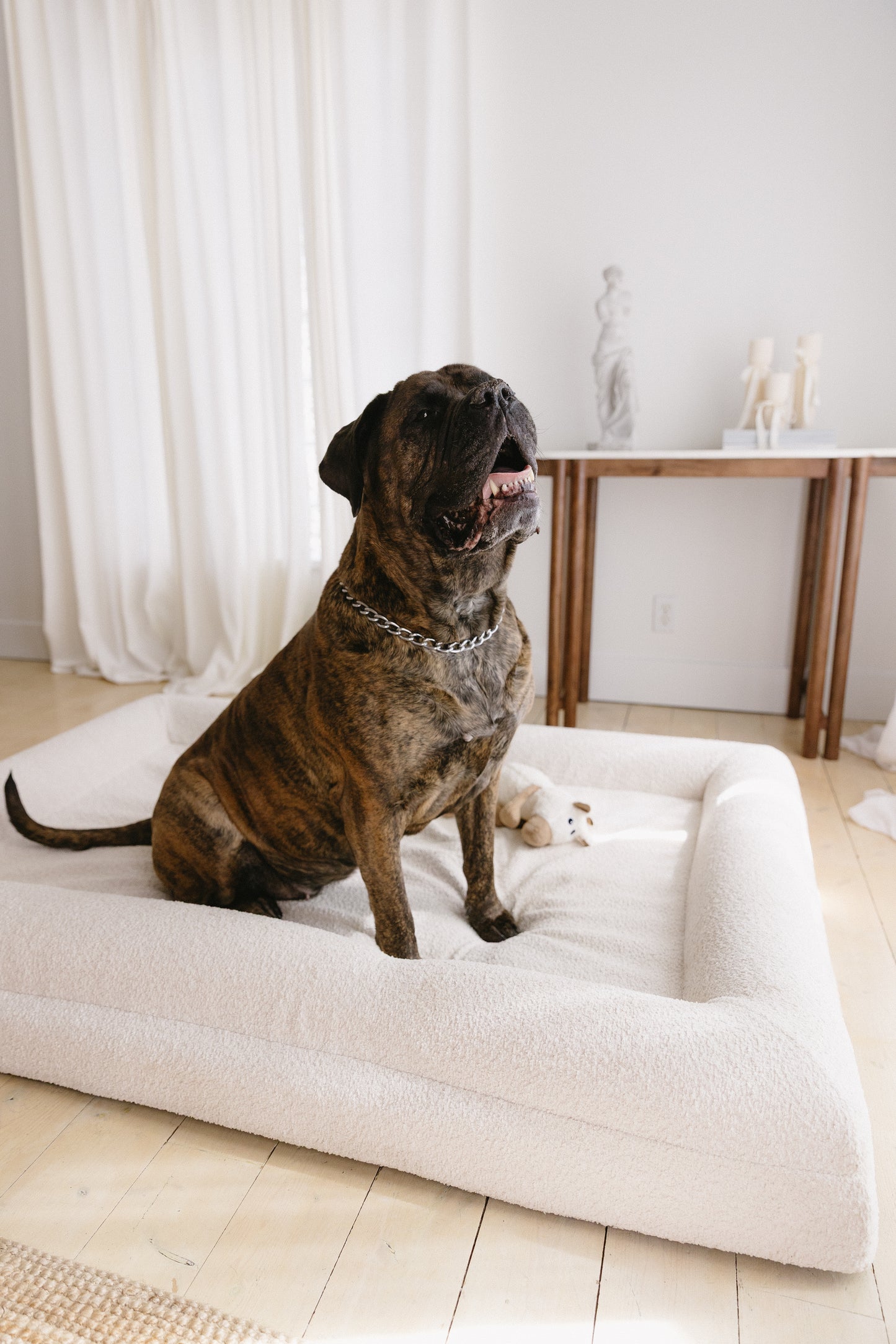 The Original L/XL Bed