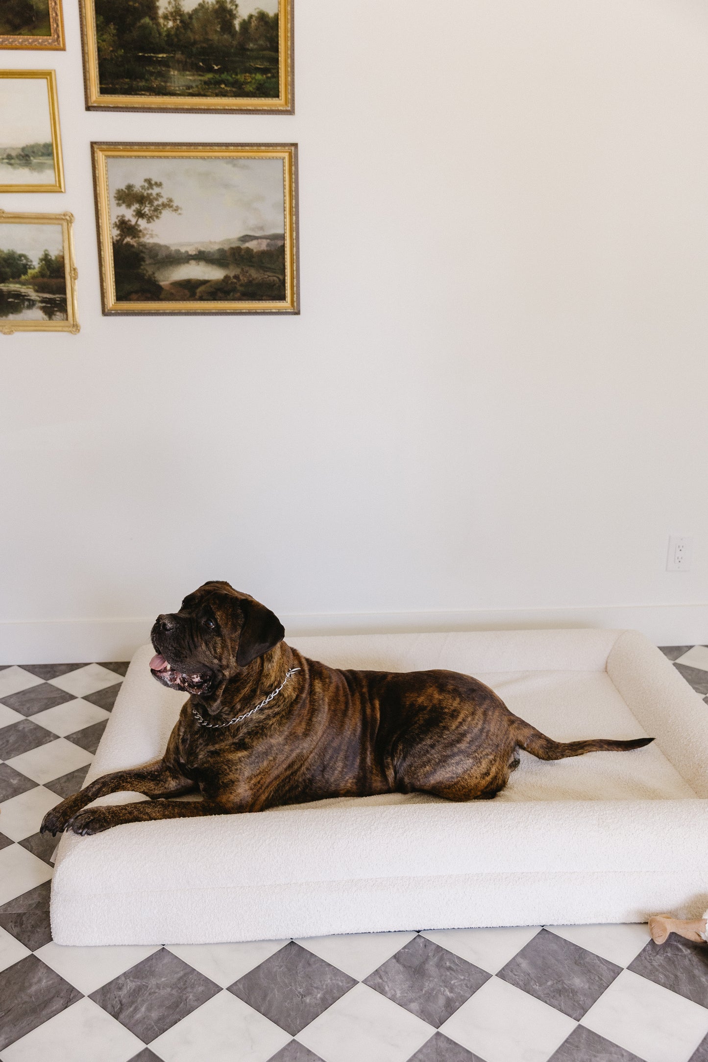 The Original L/XL Bed
