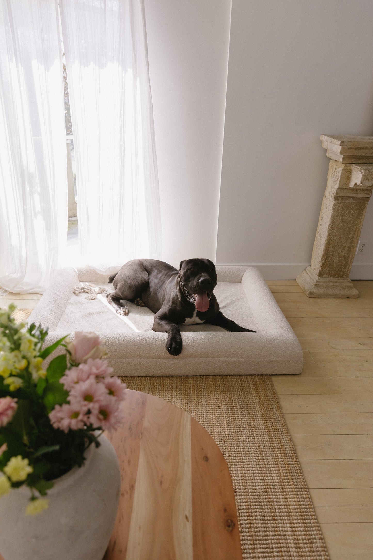 The Original L/XL Bed