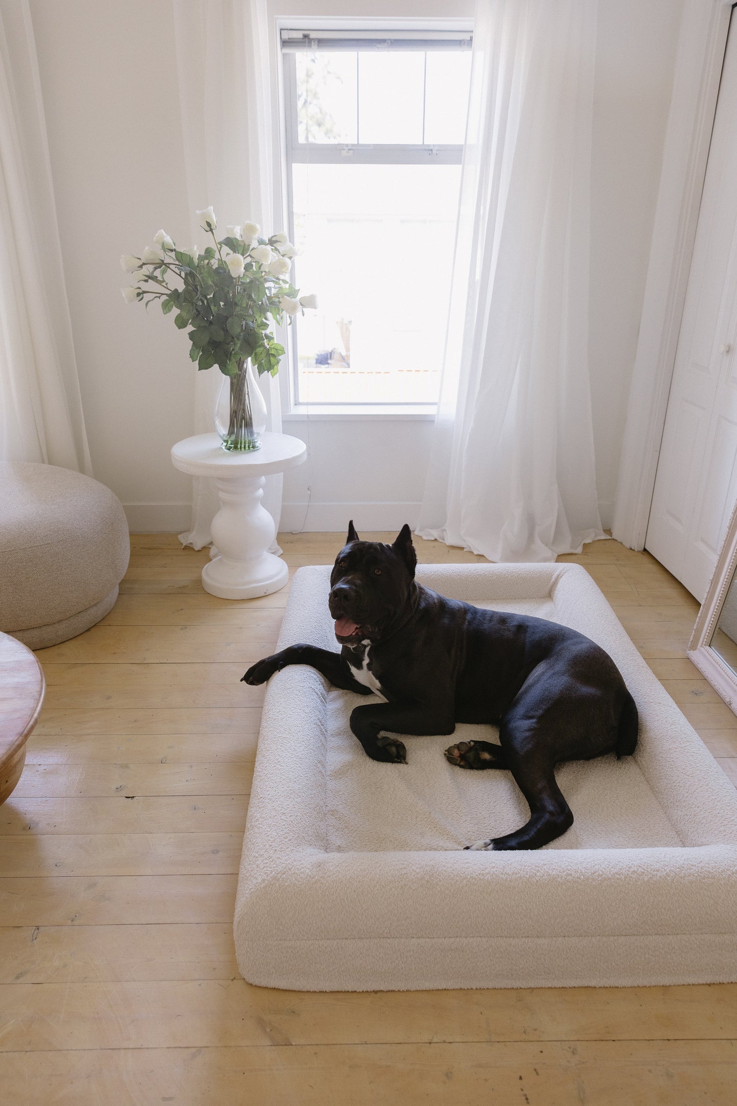 The Original L/XL Bed