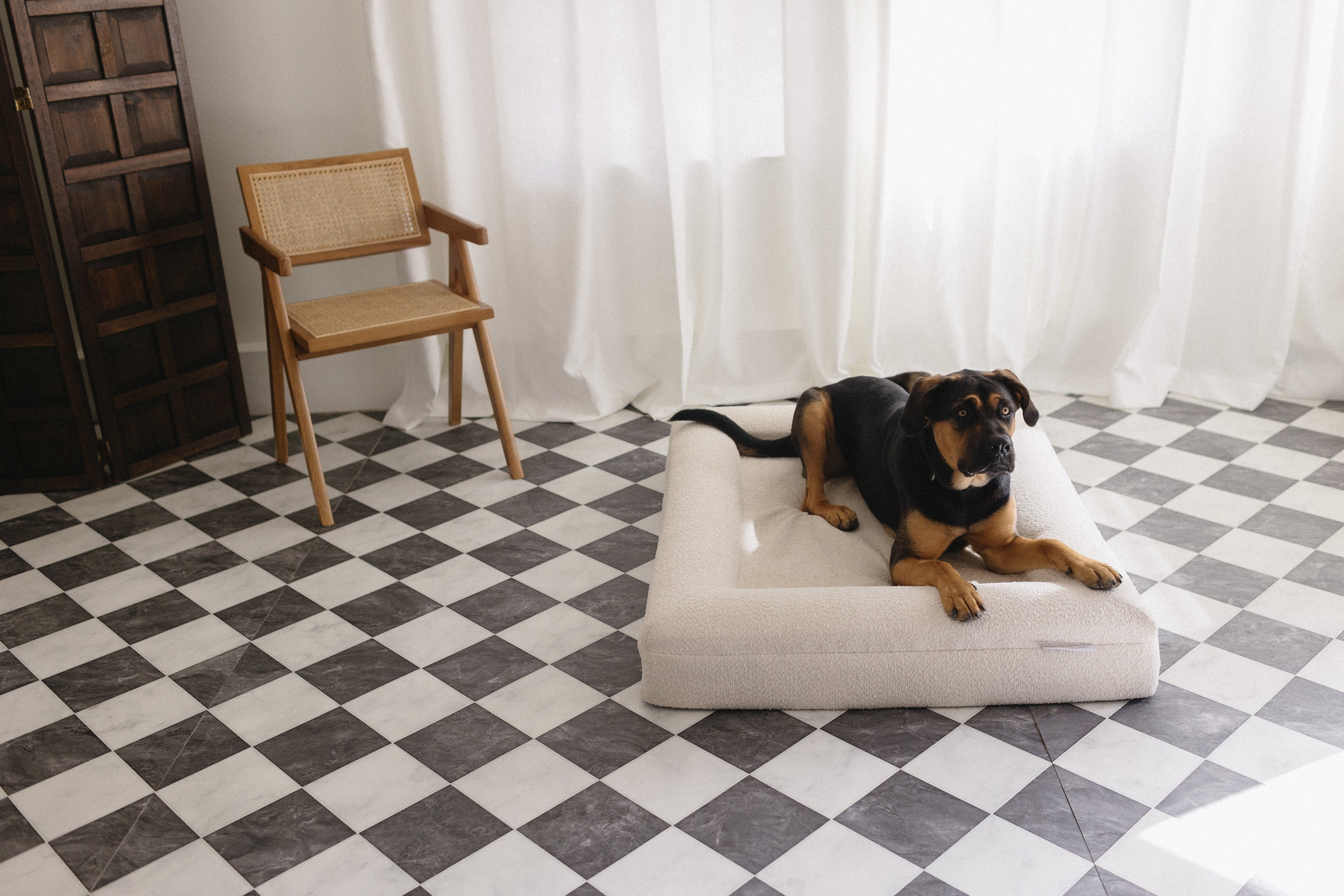 Why Your Dog Deserves an Aesthetic Luxury Bed: Benefits for Your Pup and Your Home