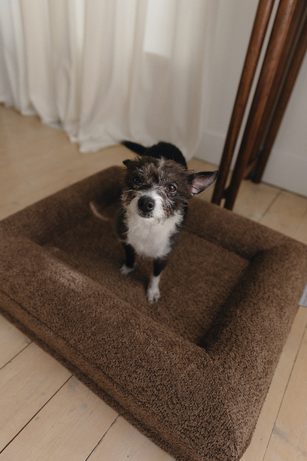 Brown Bouclé Dog Bed - (Size Extra Small / Small)
