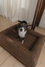 Brown Bouclé Dog Bed - (Size Extra Small / Small)