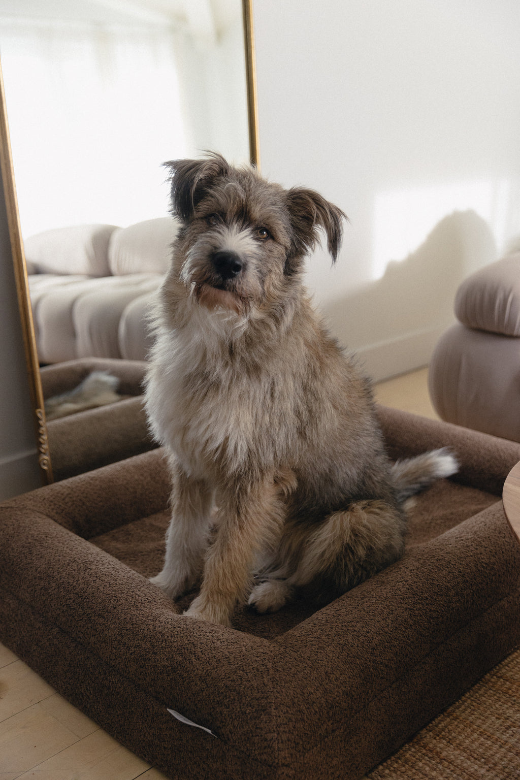 Brown Bouclé Dog Bed - (Size Medium / Large)