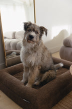 Brown Bouclé Dog Bed - (Size Medium / Large)