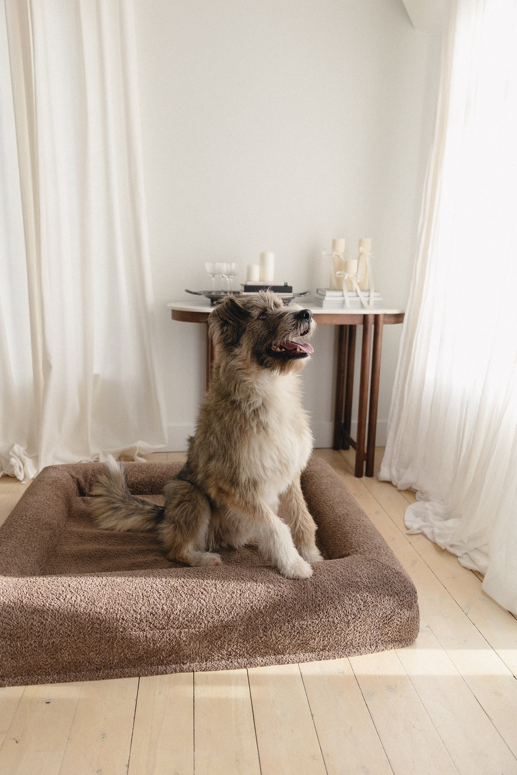 Brown Bouclé Dog Bed - (Size Medium / Large)