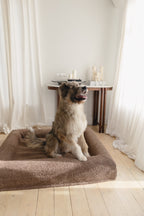 Brown Bouclé Dog Bed - (Size Medium / Large)