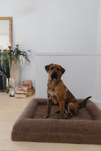 Brown Bouclé Dog Bed - (Size Medium / Large)