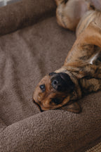 Brown Bouclé Dog Bed - (Size Medium / Large)