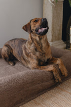 Brown Bouclé Dog Bed - (Size Medium / Large)