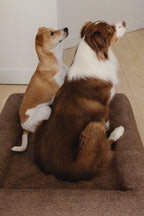 Brown Bouclé Dog Bed - (Size Medium / Large)