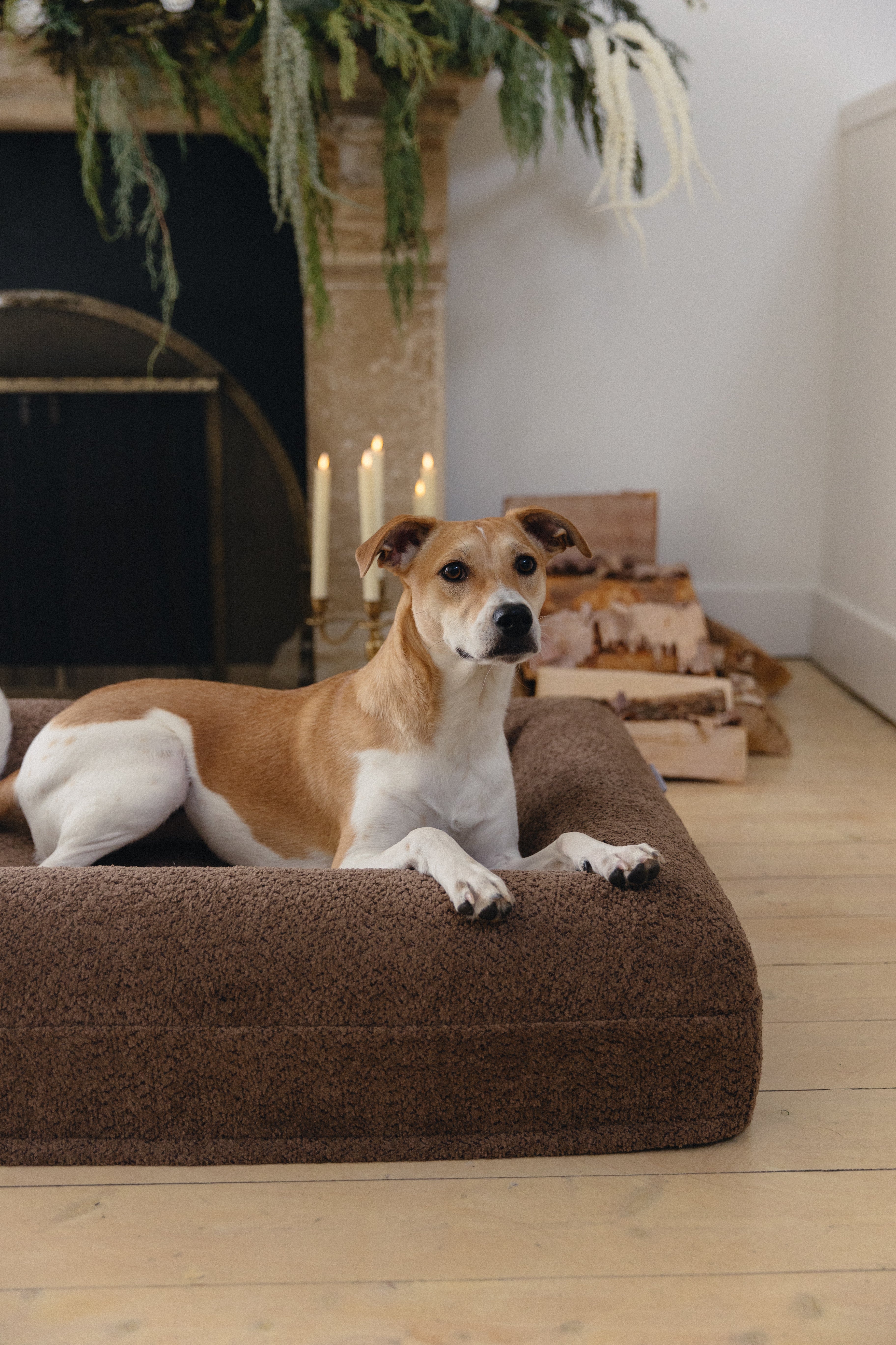 Brown Bouclé Dog Bed - (Size Small / Medium)