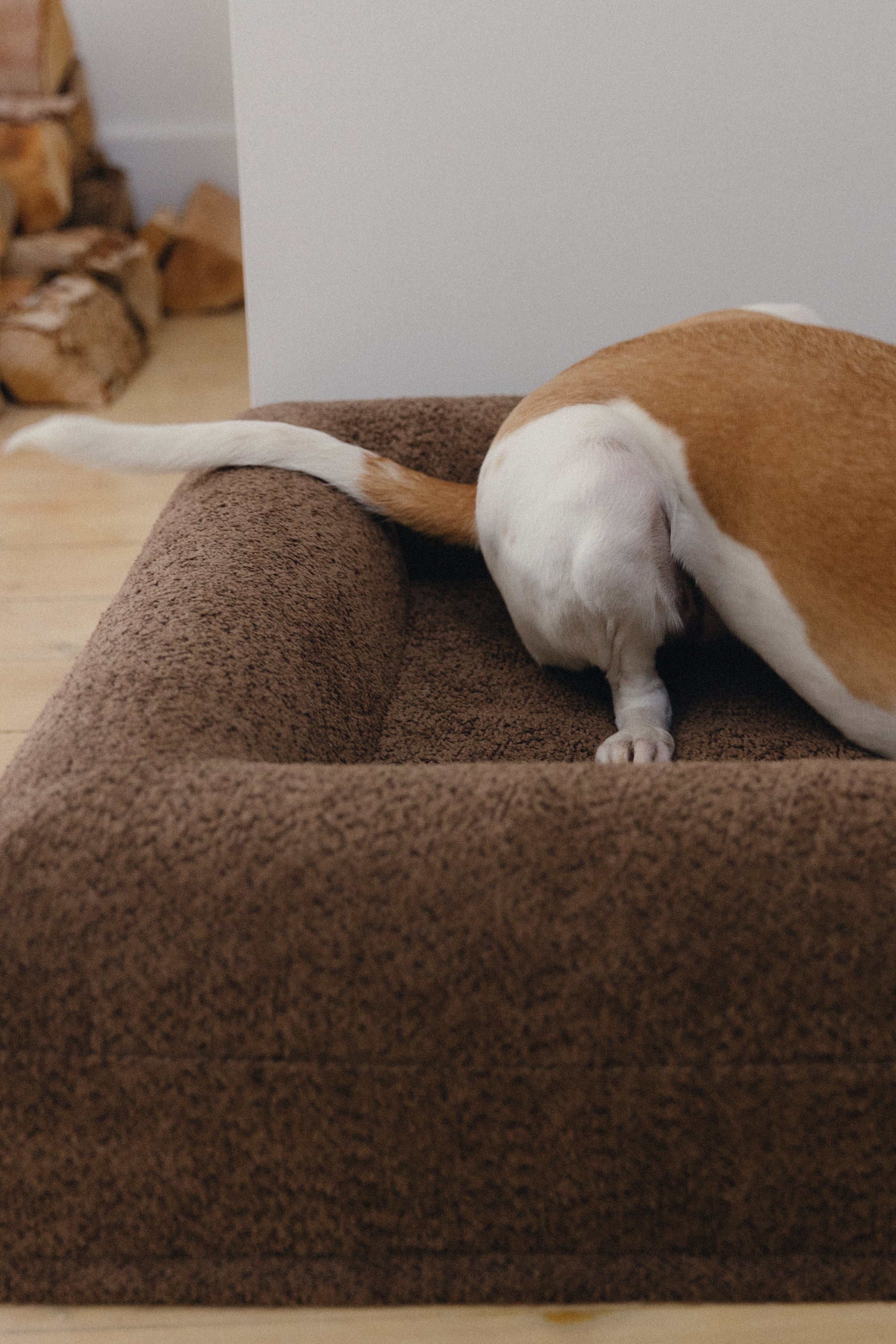 Brown Bouclé Dog Bed - (Size Small / Medium)