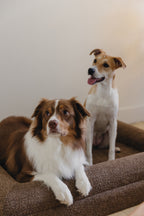 Brown Bouclé Dog Bed - (Size Medium / Large)