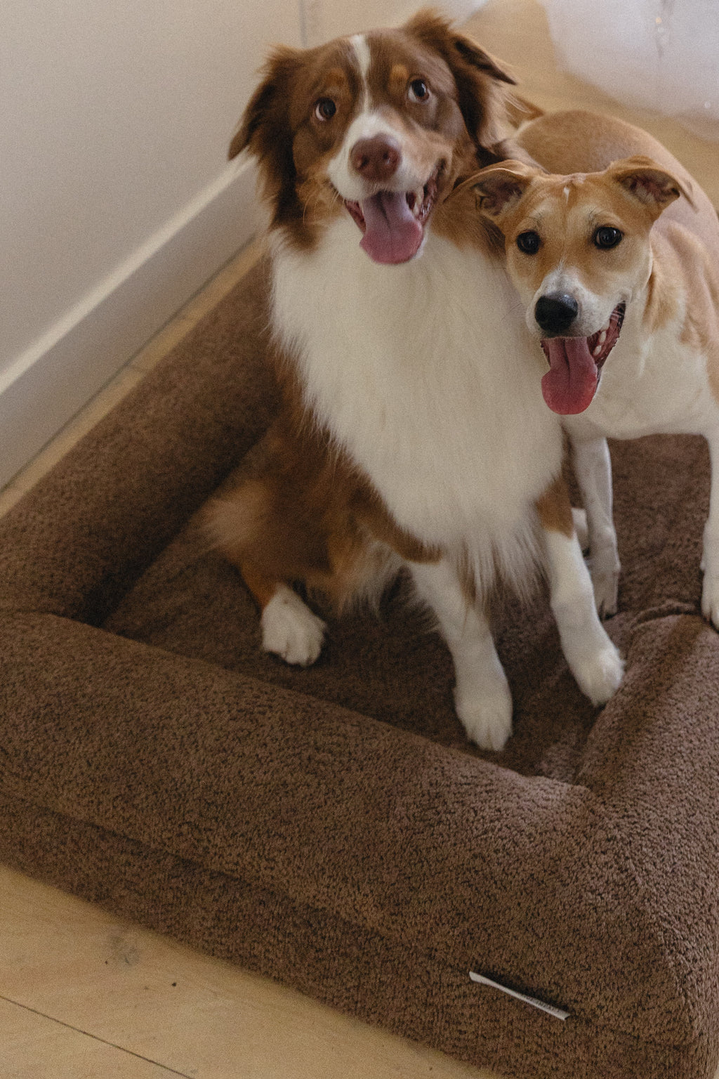 Brown Bouclé Dog Bed - (Size Medium / Large)