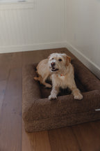 Brown Bouclé Dog Bed - (Size Small / Medium)