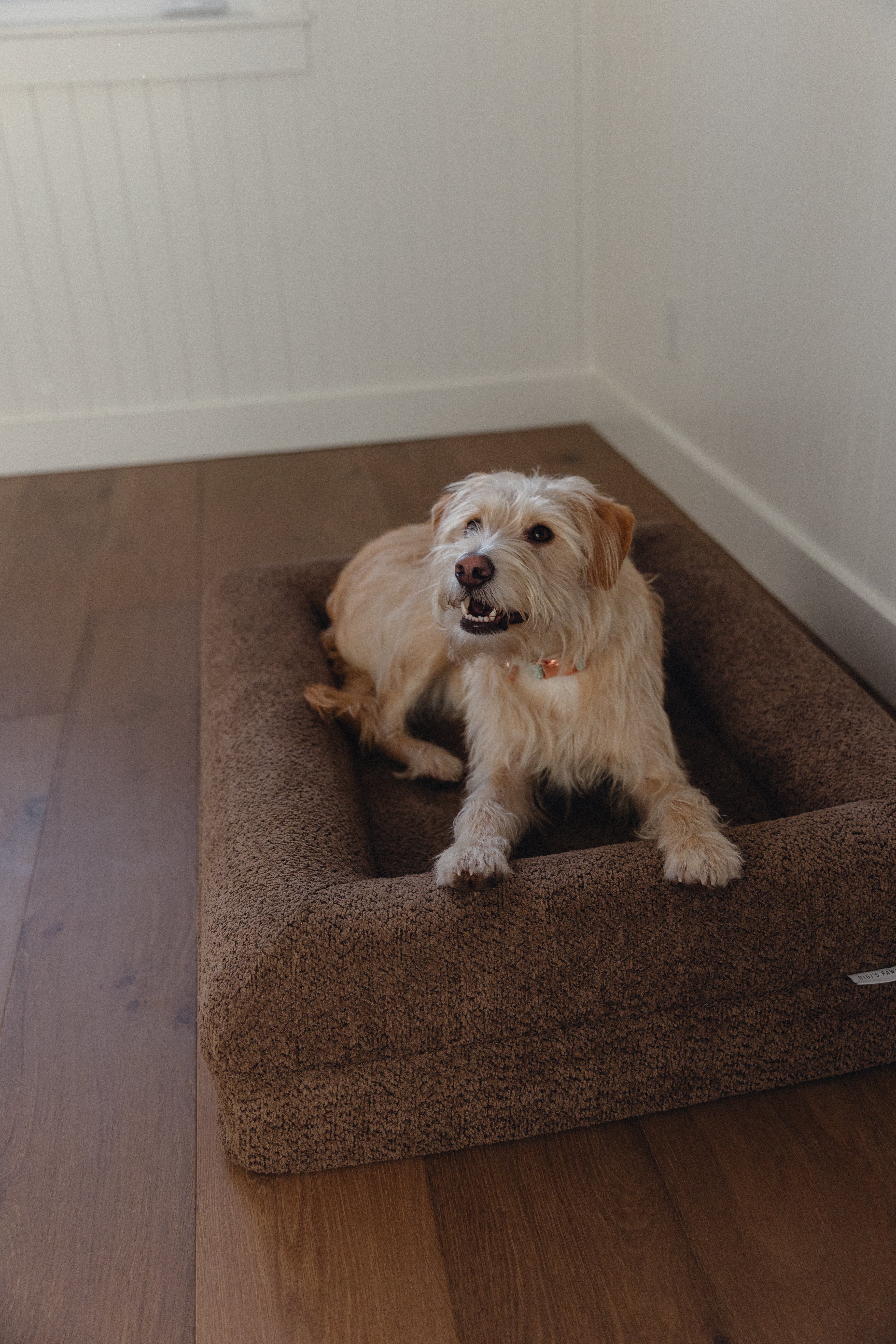 Brown Bouclé Dog Bed - (Size Small / Medium)