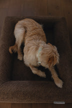 Brown Bouclé Dog Bed - (Size Small / Medium)