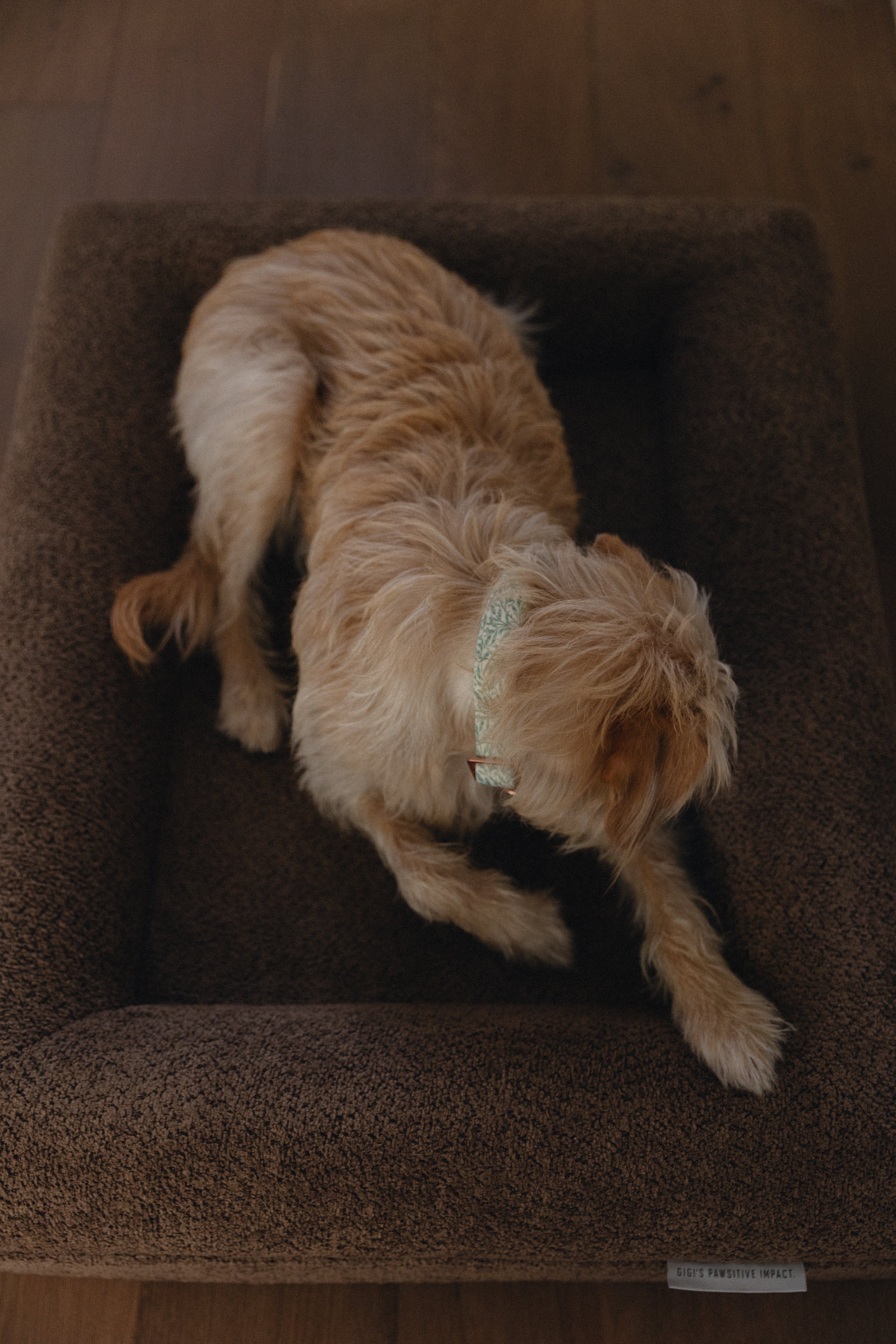 Brown Bouclé Dog Bed - (Size Small / Medium)