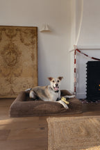 Brown Bouclé Dog Bed - (Size Medium / Large)