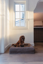 Brown Bouclé Dog Bed - (Size Extra Small / Small)