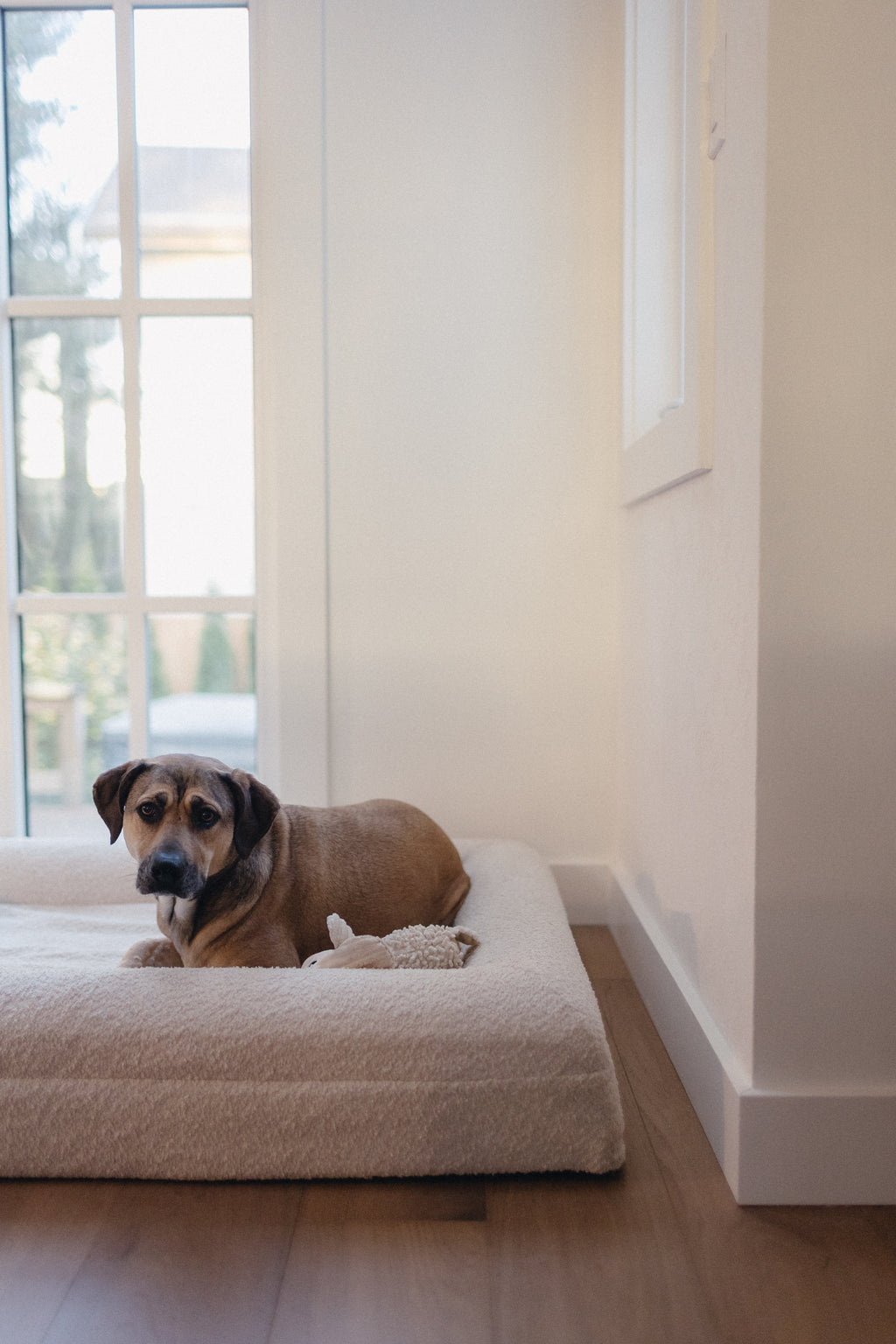 Cream Bouclé Dog Bed - (Size Medium / Large)
