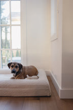 Cream Bouclé Dog Bed - (Size Medium / Large)