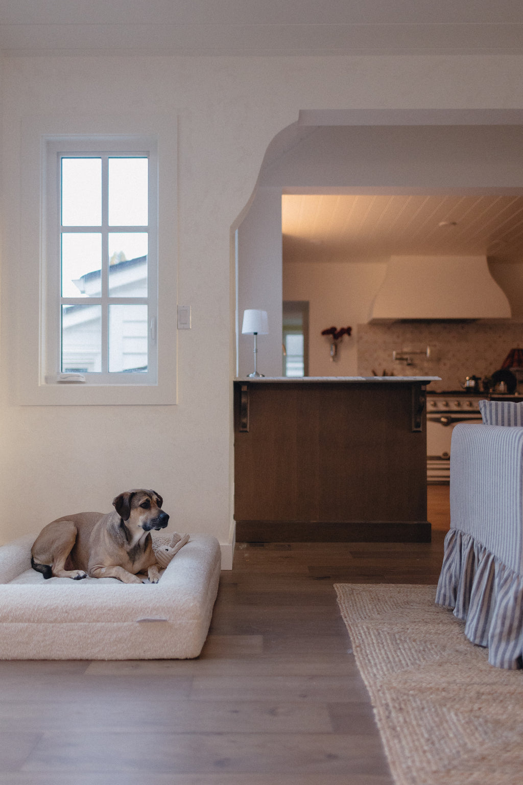 Cream Bouclé Dog Bed - (Size Medium / Large)