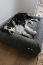 Dark Grey Bouclé Dog Bed - (Size Medium / Large)