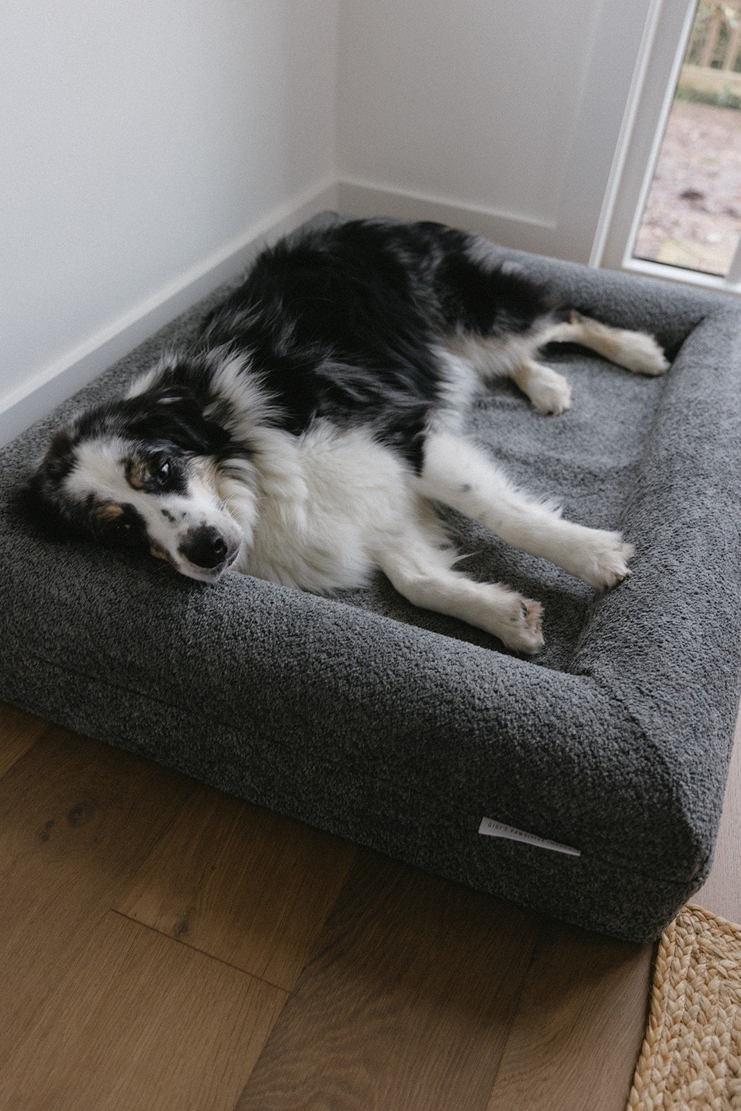 Dark Grey Bouclé Dog Bed - (Size Medium / Large)
