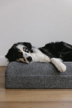 Dark Grey Bouclé Dog Bed - (Size Medium / Large)
