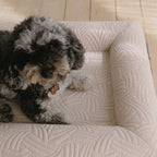 Removable cooling cover for small dog bed – Gigi's Pawsitive Impact