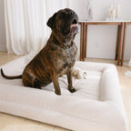 Dog sitting on the Large/Extra Large Bouclé Dog Bed in a cozy home setting
