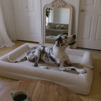 Memory foam dog bed for medium-sized dogs