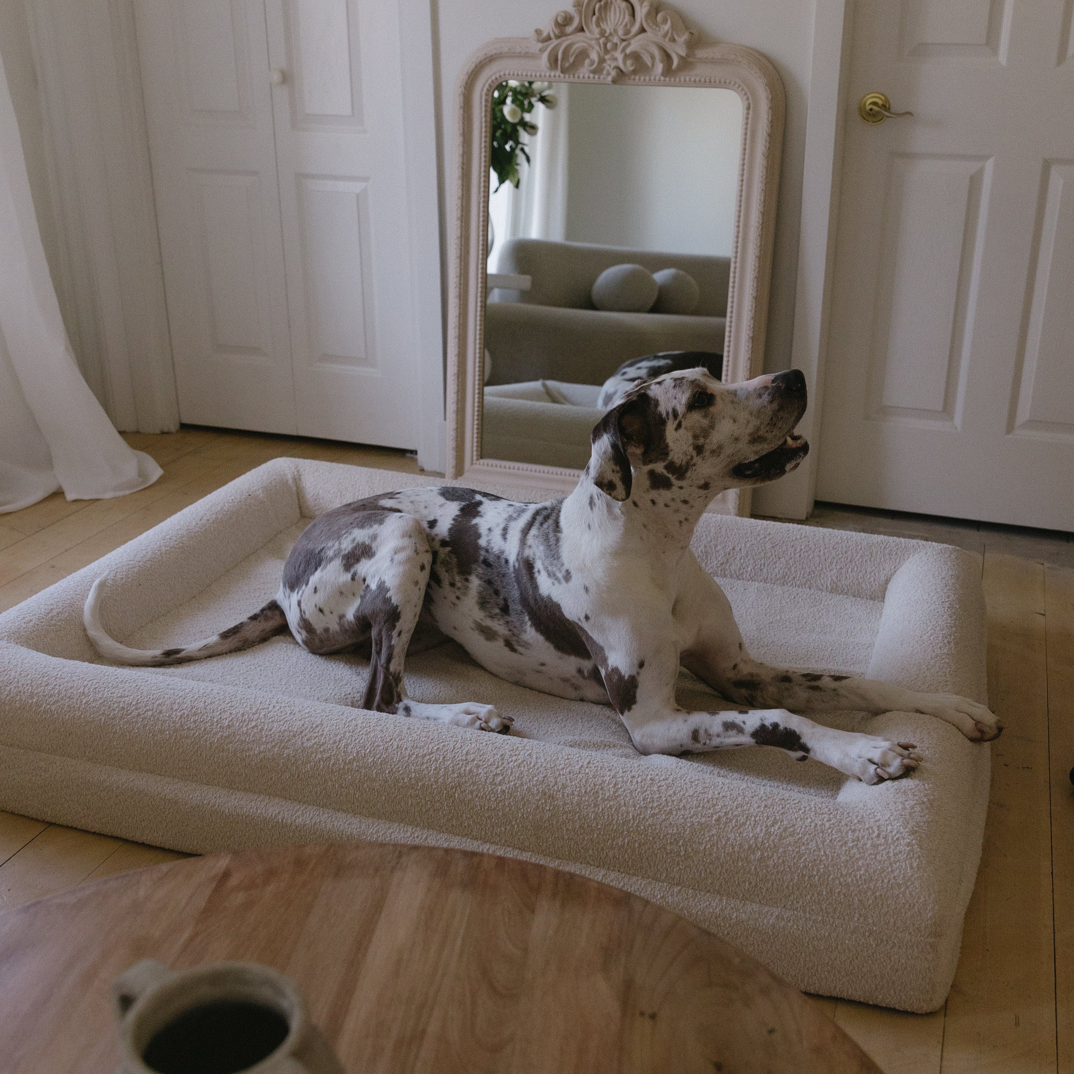 Memory foam dog bed for medium-sized dogs