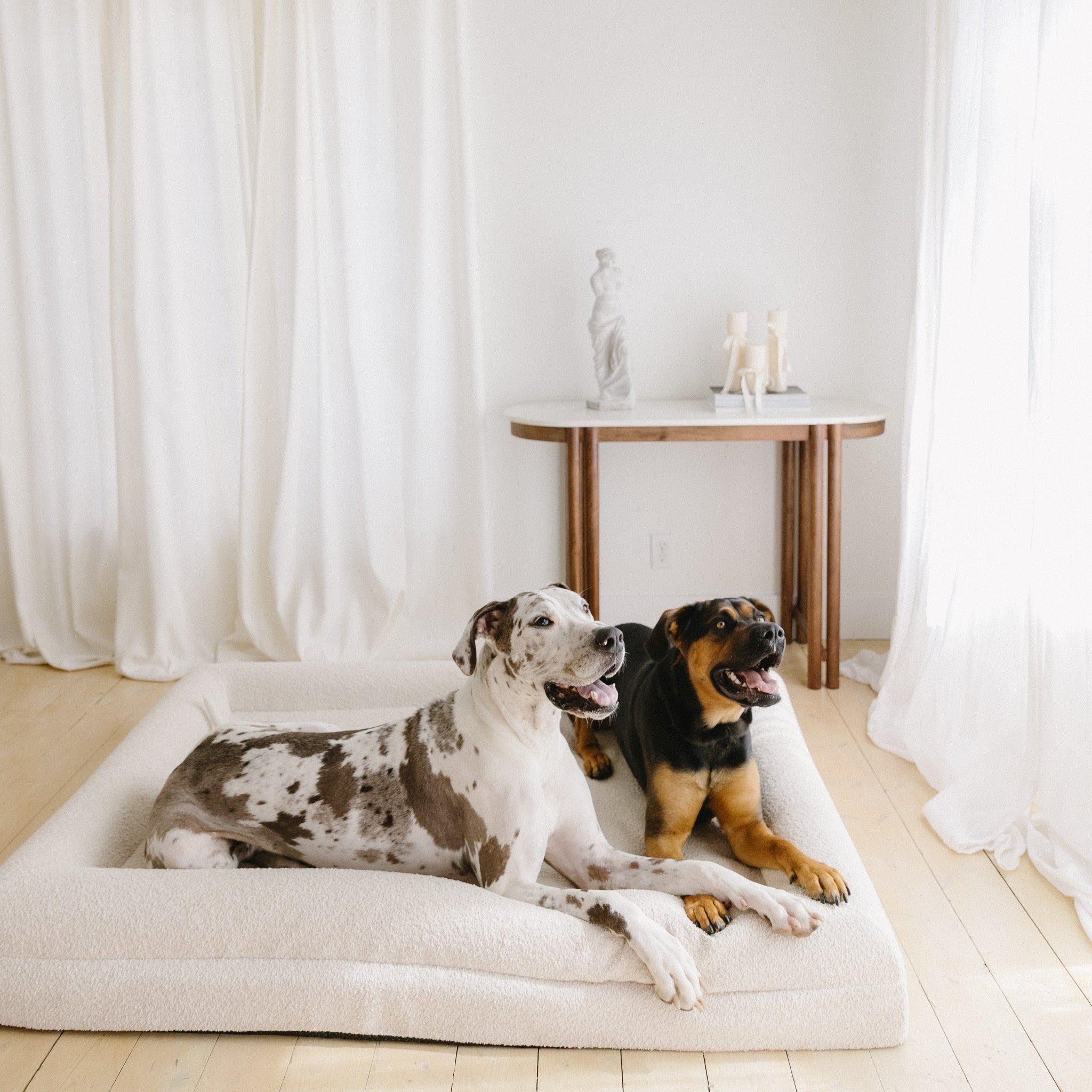 Two dogs comfortably resting on the Large/Extra Large Bouclé Dog Bed in a cozy home setting