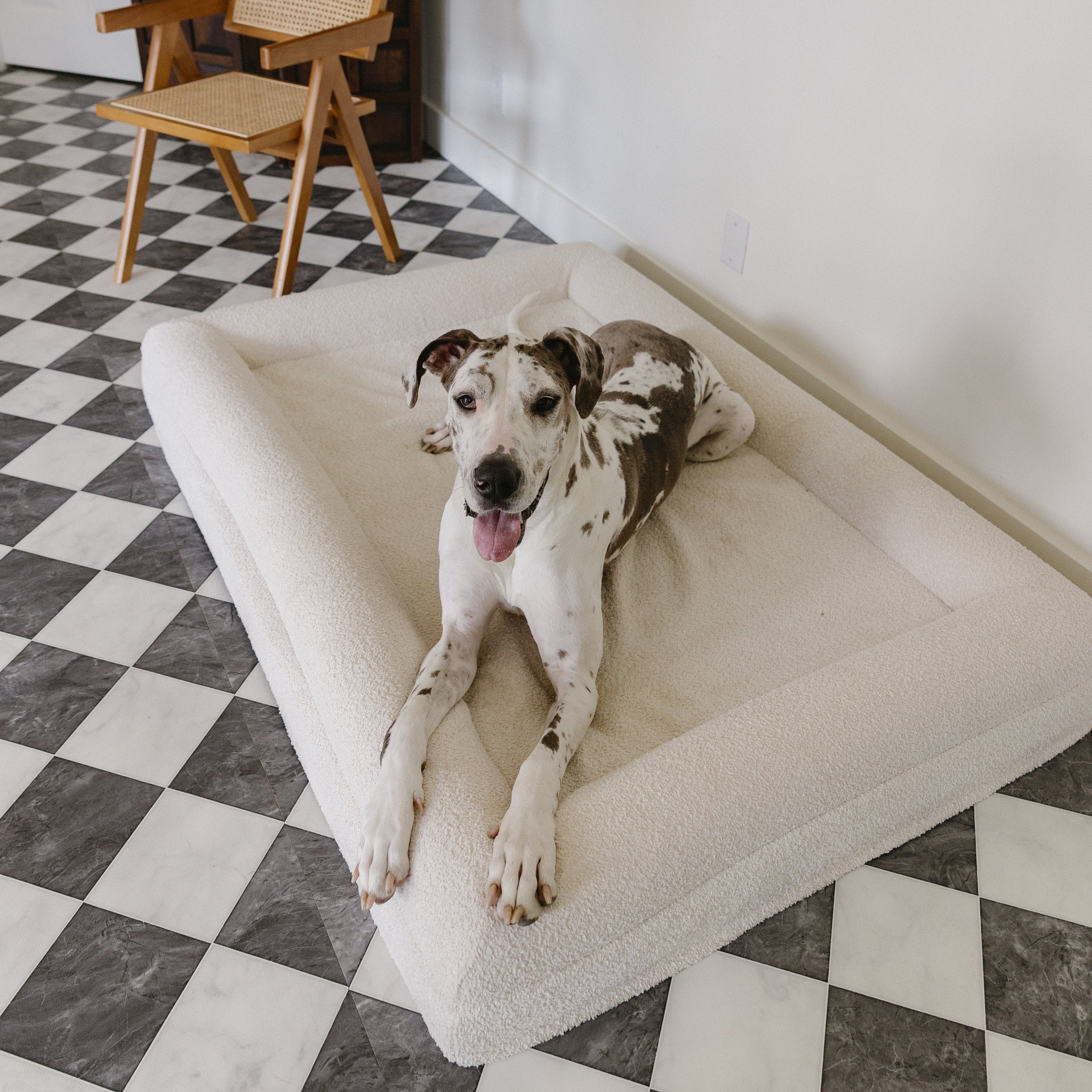 Memory foam dog bed for medium-sized dogs