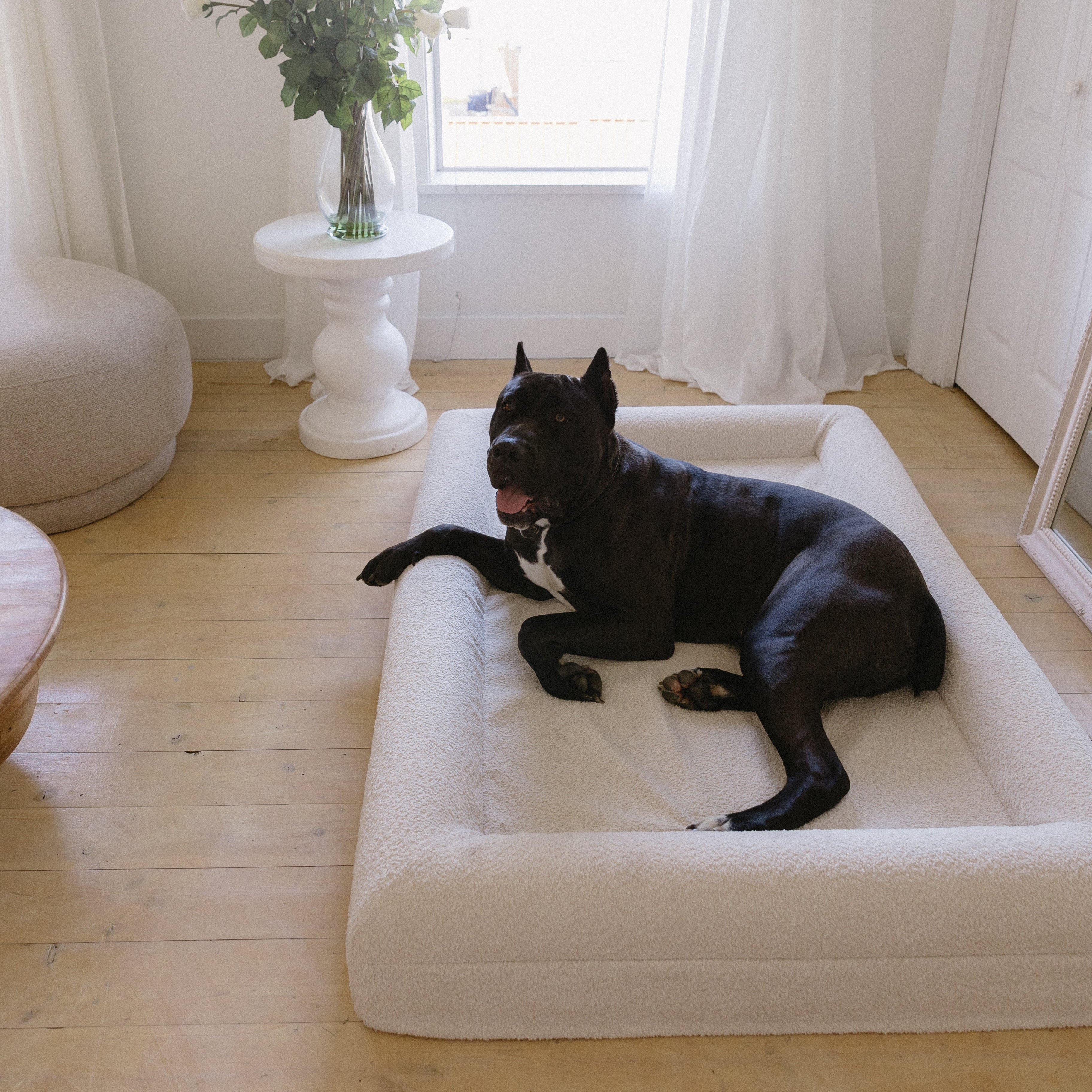 Dog laying on the Large/Extra Large Bouclé Dog Bed in a cozy home setting