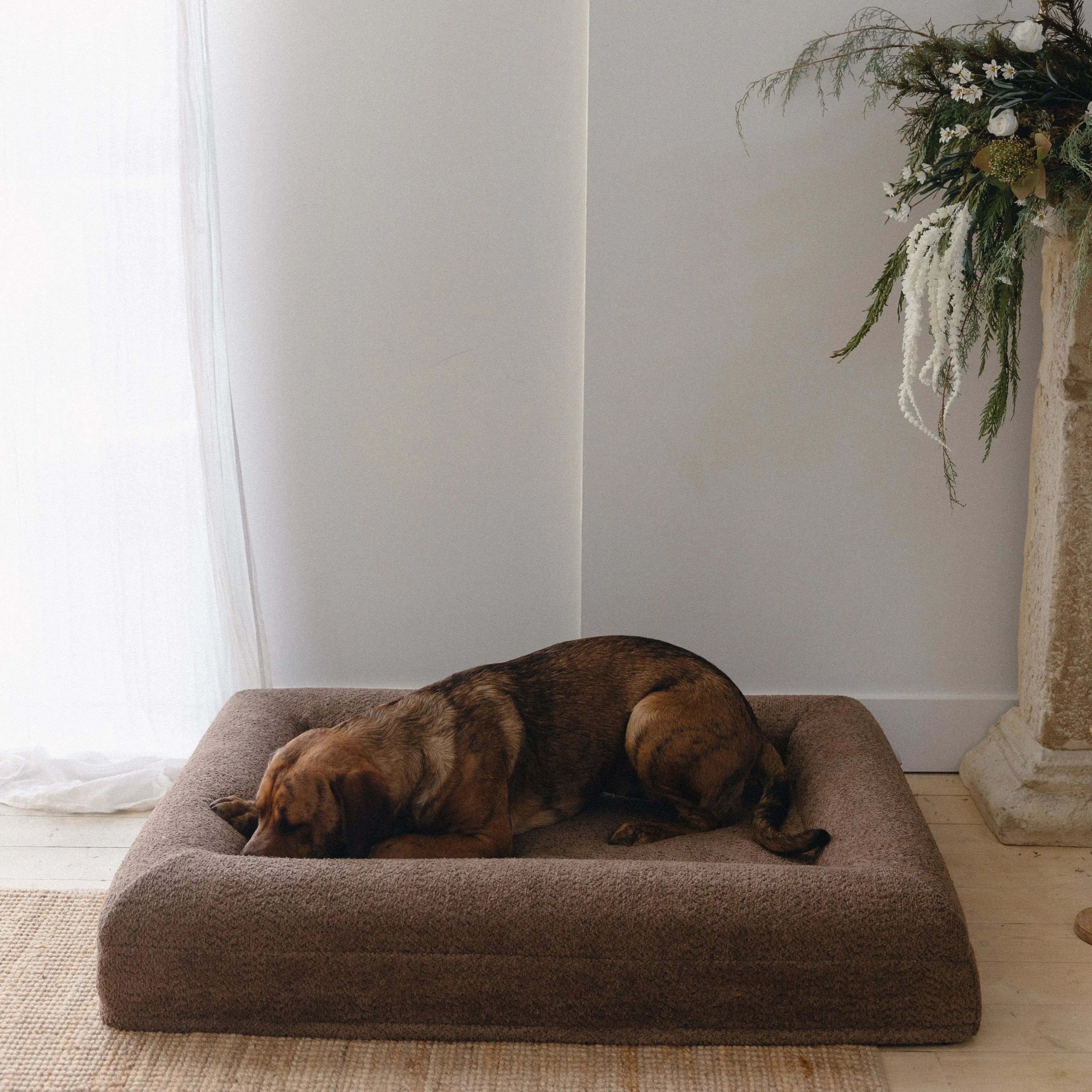 Spare cream boucle dog bed cover for medium / large size bed