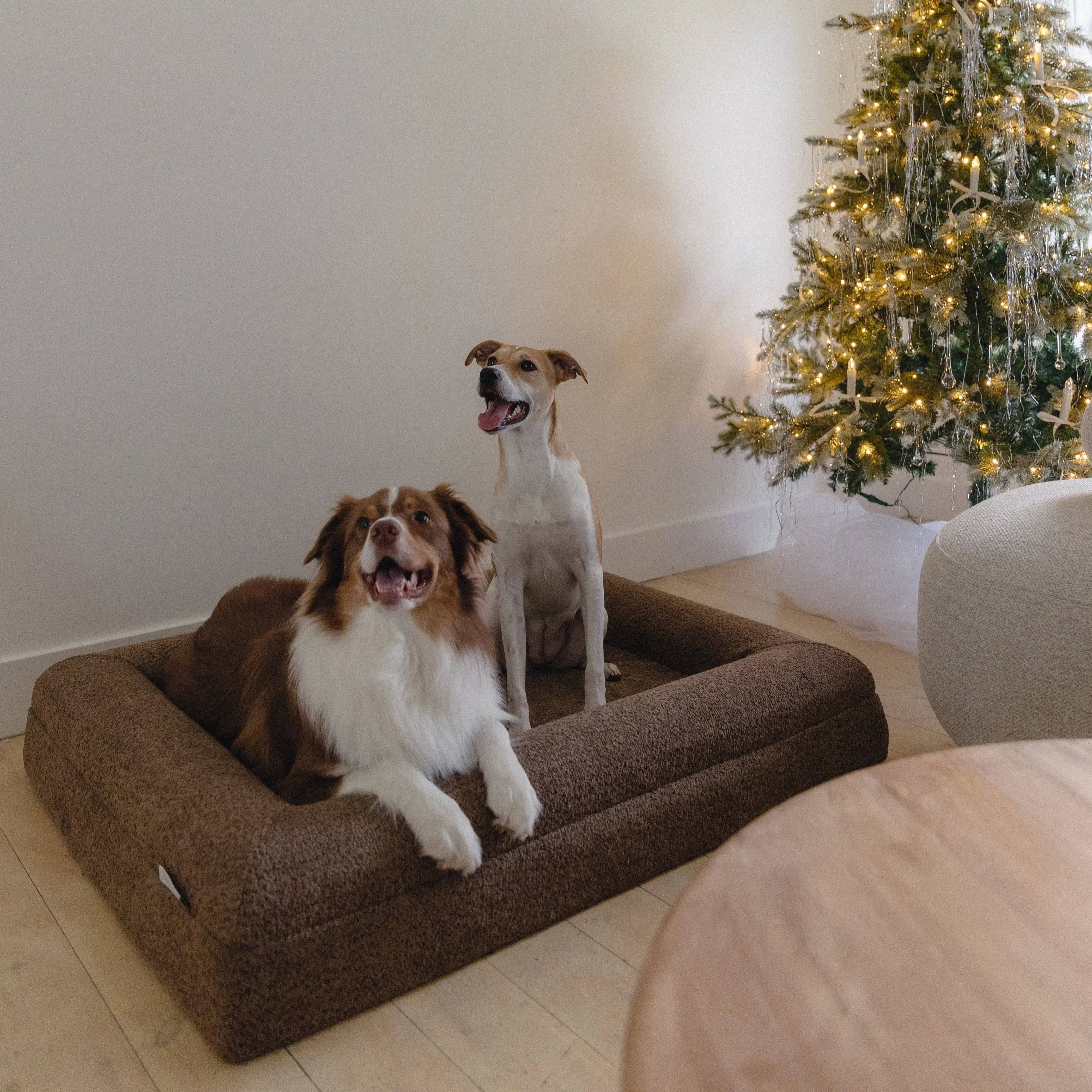 Spare cream boucle dog bed cover for medium / large size bed