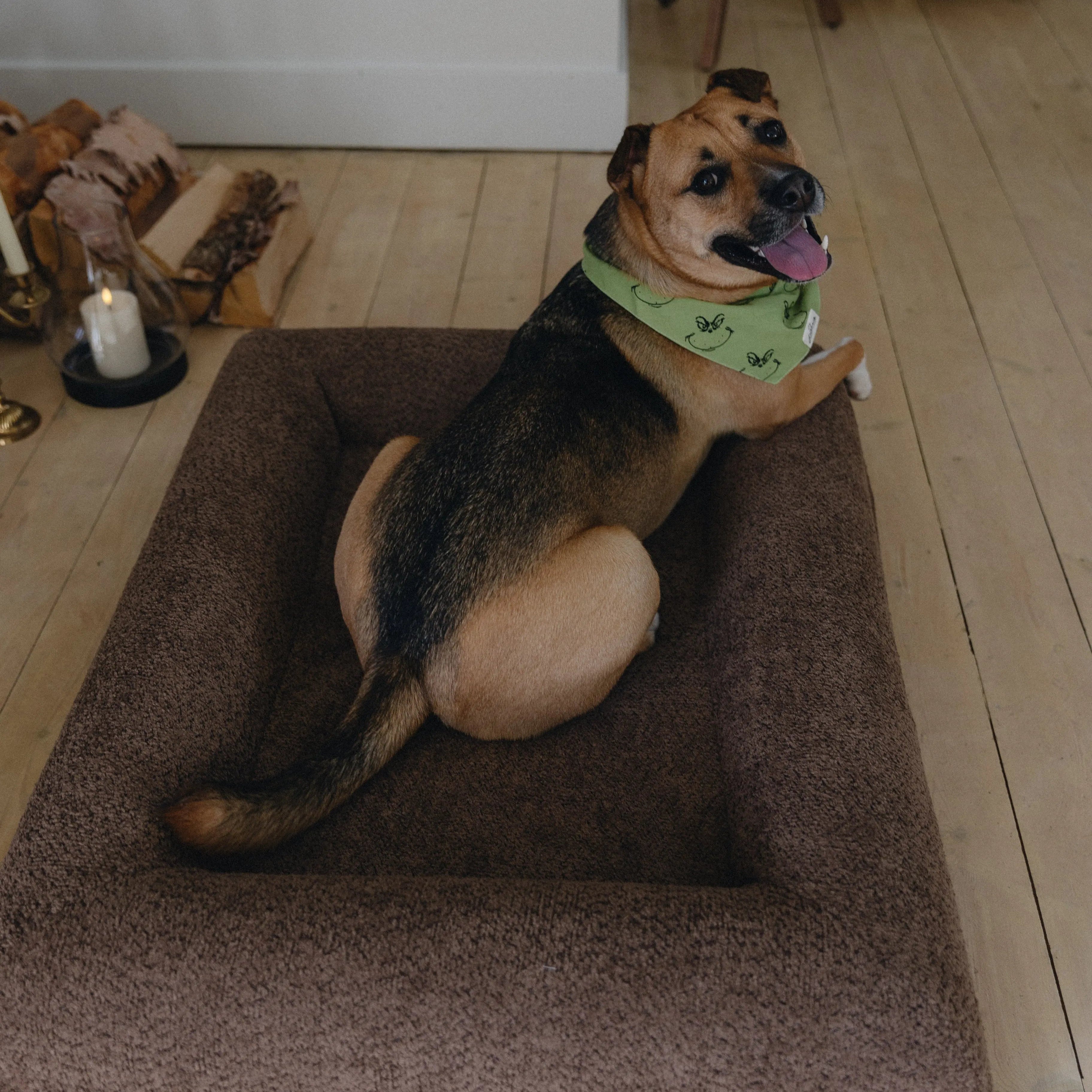 Spare cream boucle dog bed cover for small / medium size bed