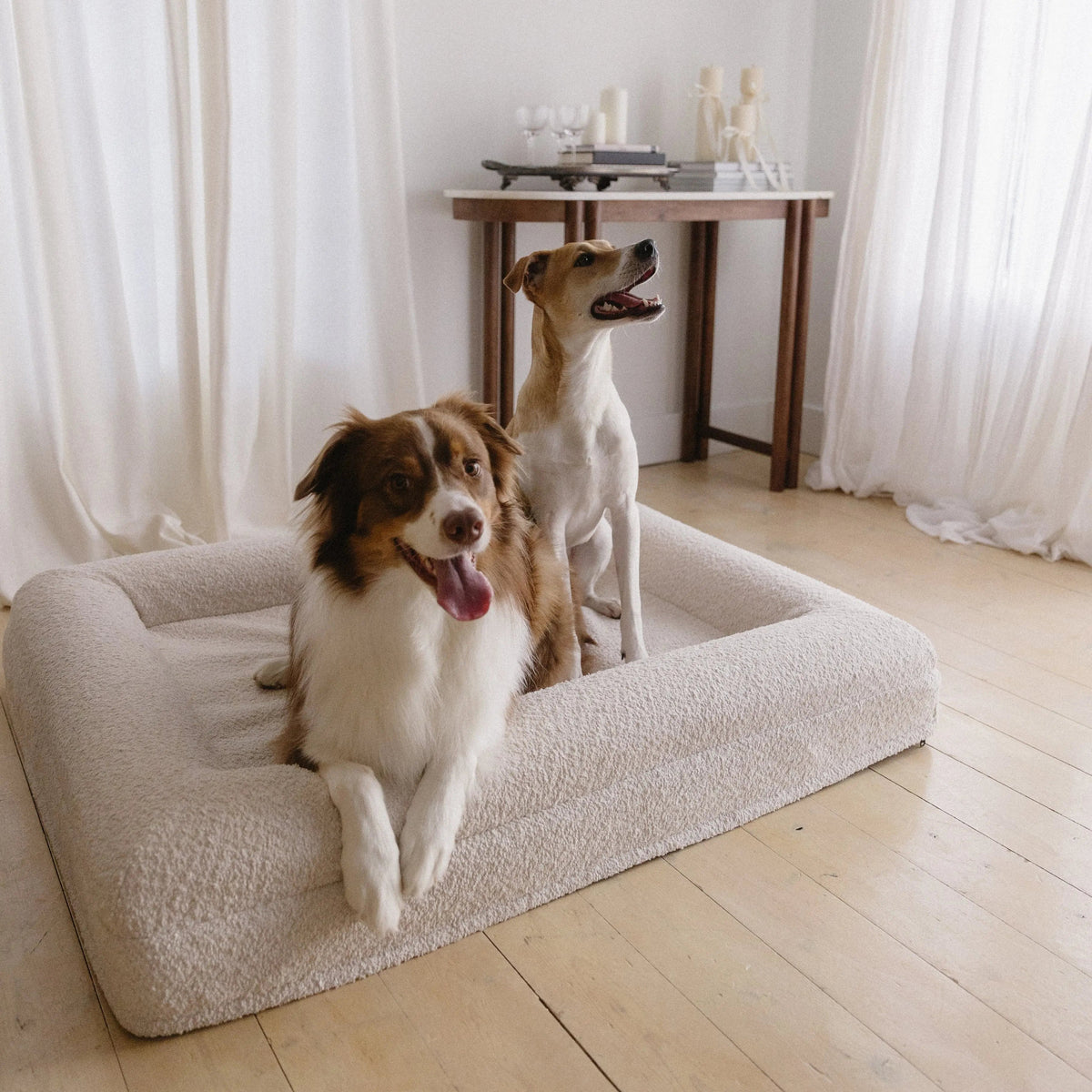 Two dogs comfortably resting on the Medium/Large Bouclé Dog Bed in a cozy home setting