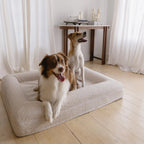Two dogs comfortably resting on the Medium/Large Bouclé Dog Bed in a cozy home setting