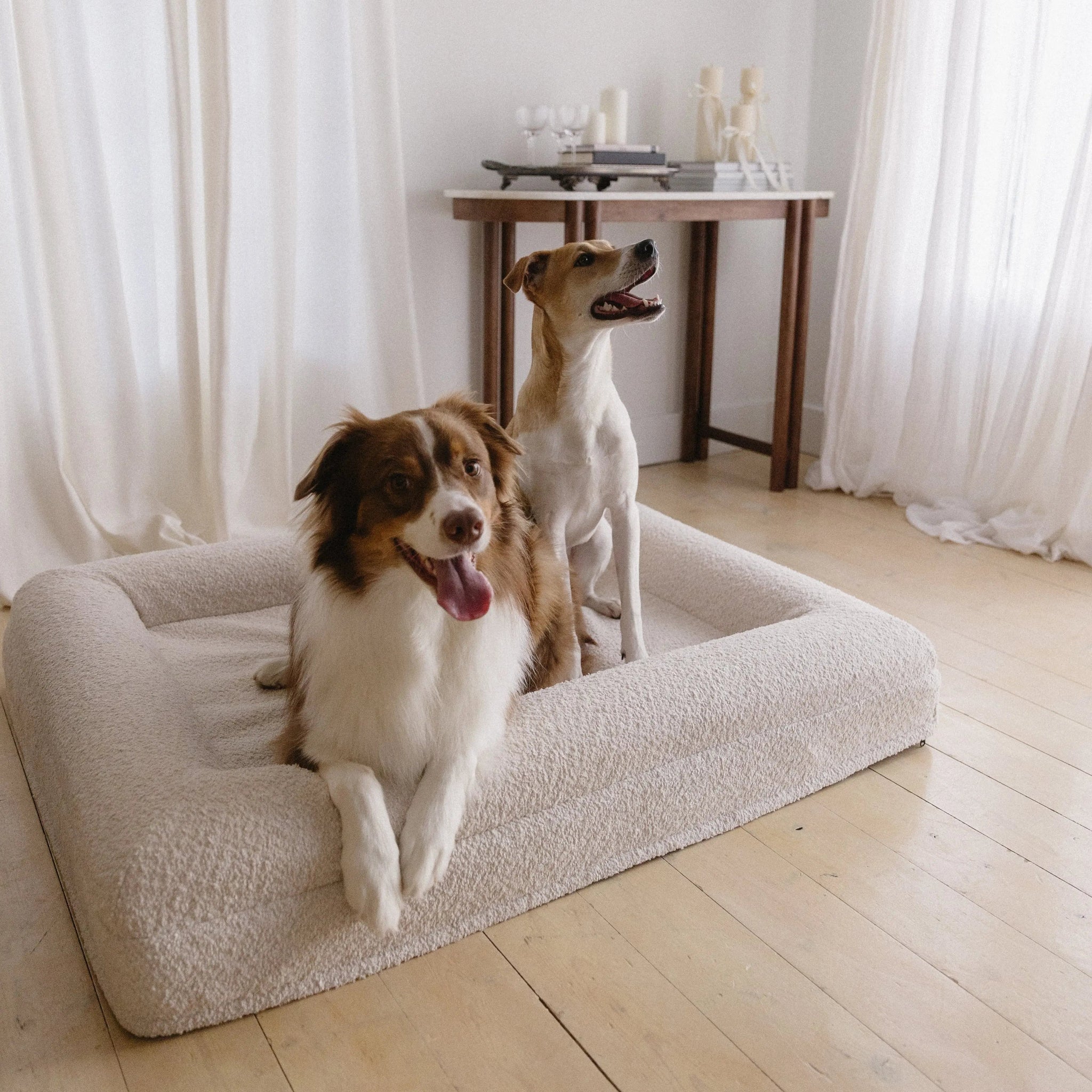 Two dogs comfortably resting on the Medium/Large Bouclé Dog Bed in a cozy home setting