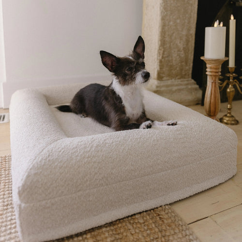 Extra small to small boucle dog bed – crème boucle fabric, Gigi’s Pawsitive Impact