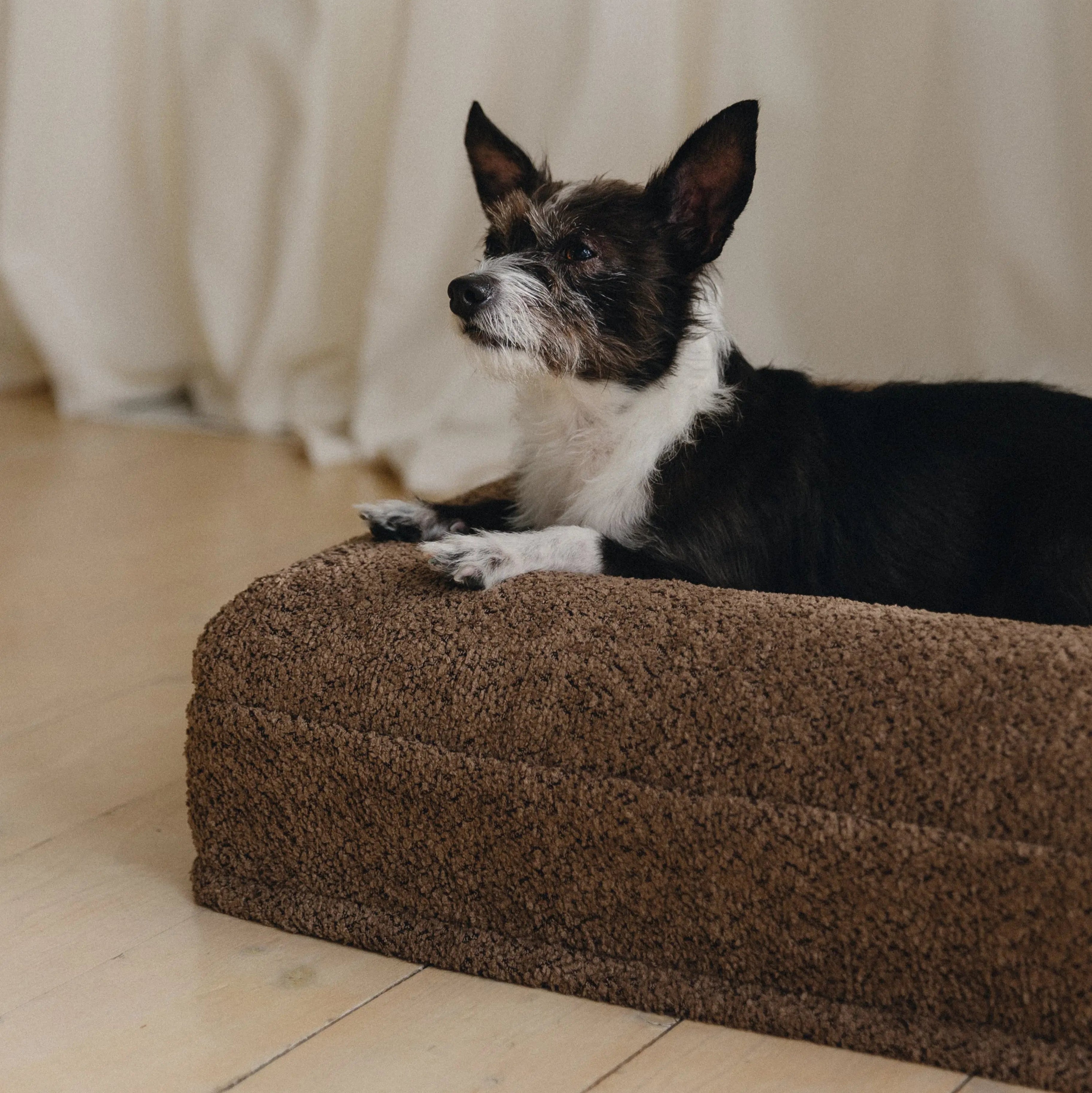 Spare cream boucle dog bed cover for extra small / small size bed