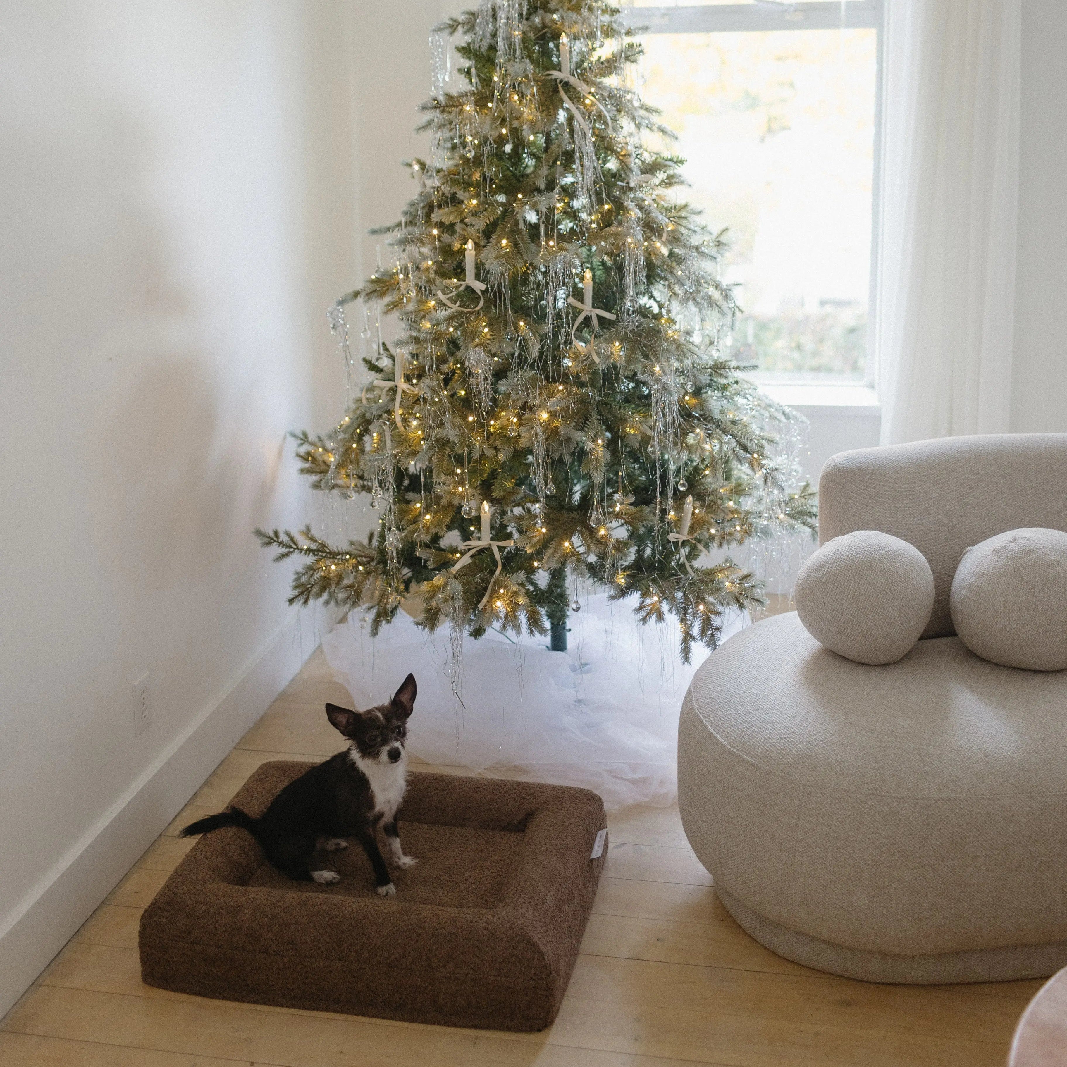 Spare cream boucle dog bed cover for extra small / small size bed