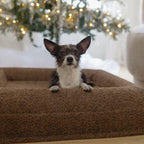 Spare cream boucle dog bed cover for extra small / small size bed